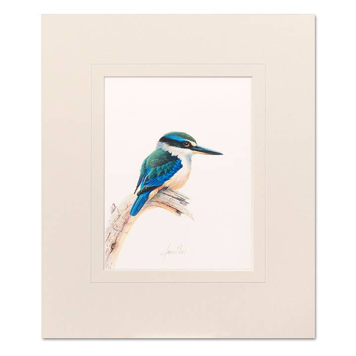 Mounted Print - Sacred Kingfisher for wholesale by Jeremy Boot Collections