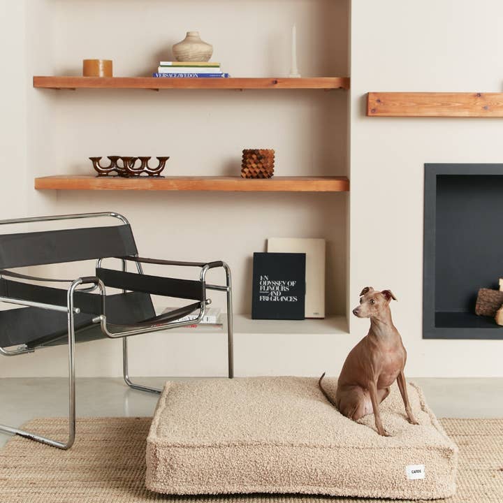 CAFIDE - Wholesale Pet Bed - Dog - Beige Sheep Dog Bed, Square
