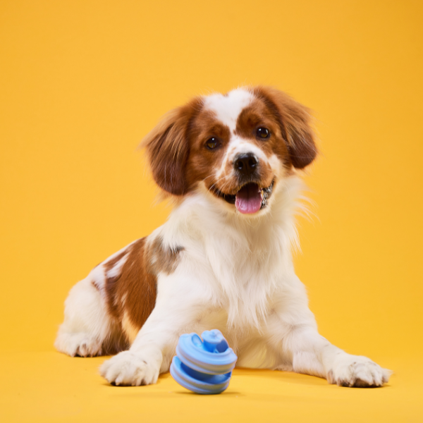 Poochie-Pets - Wholesale Pet Chew Toy - Dog - Geo-Hex Natural Rubber Enrichment Dog Toy
4