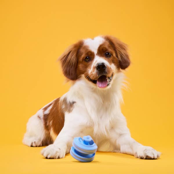 Poochie-Pets - Wholesale Pet chew toy – Dog - Geo-Hex Natural Rubber Enrichment Dog Toy
4