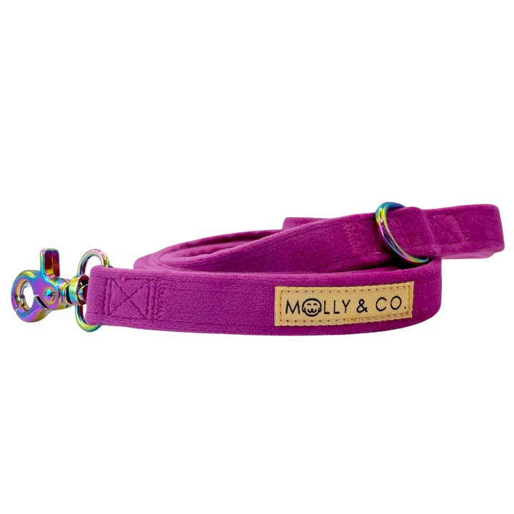 Plum Velvet - Dog Leash for wholesale by Molly & Co.