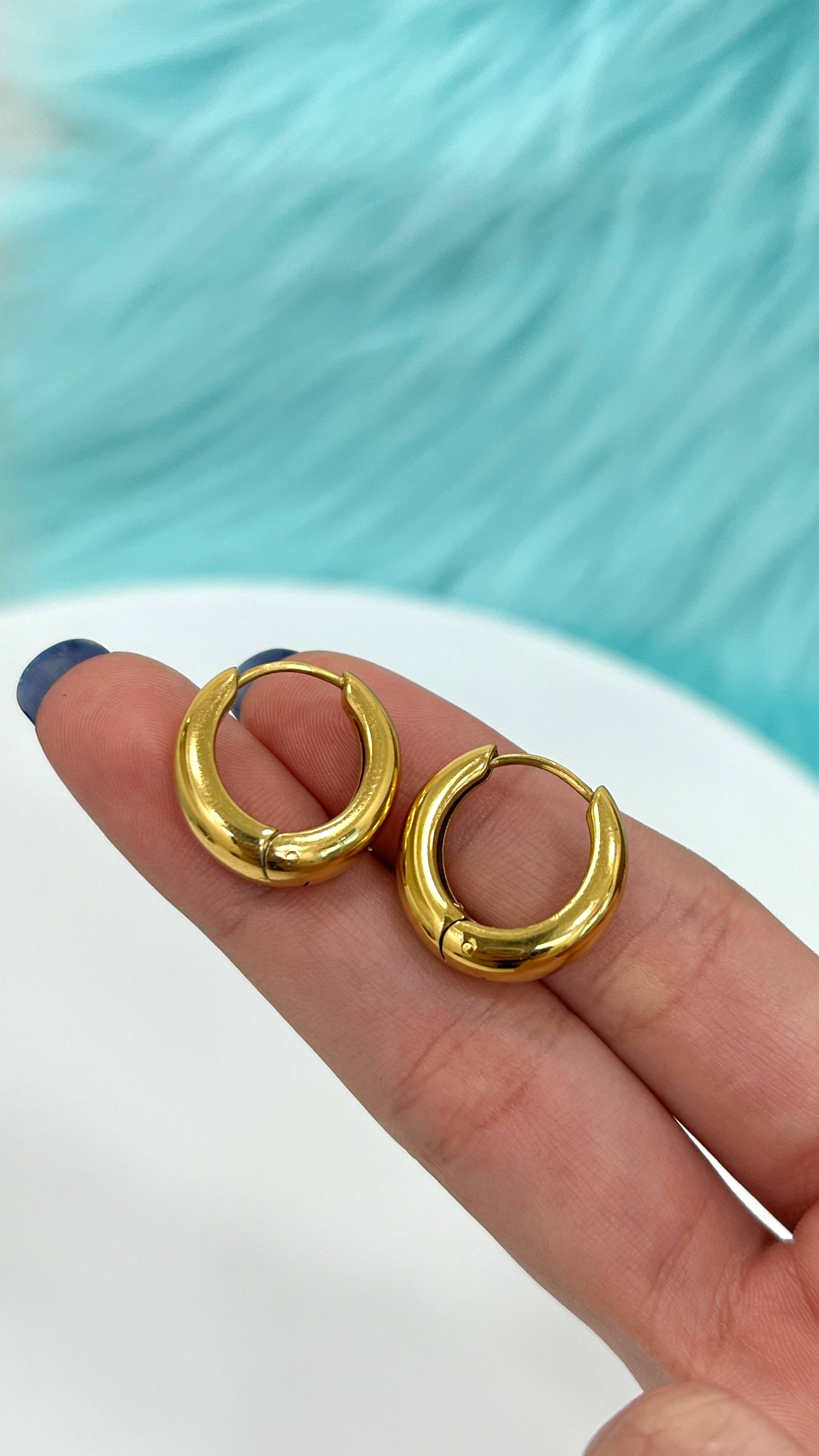 Lion Gothic - Wholesale Huggie Earrings - Surgical Steel PVD Plated Huggie Earrings Wide Chunky Hoops6