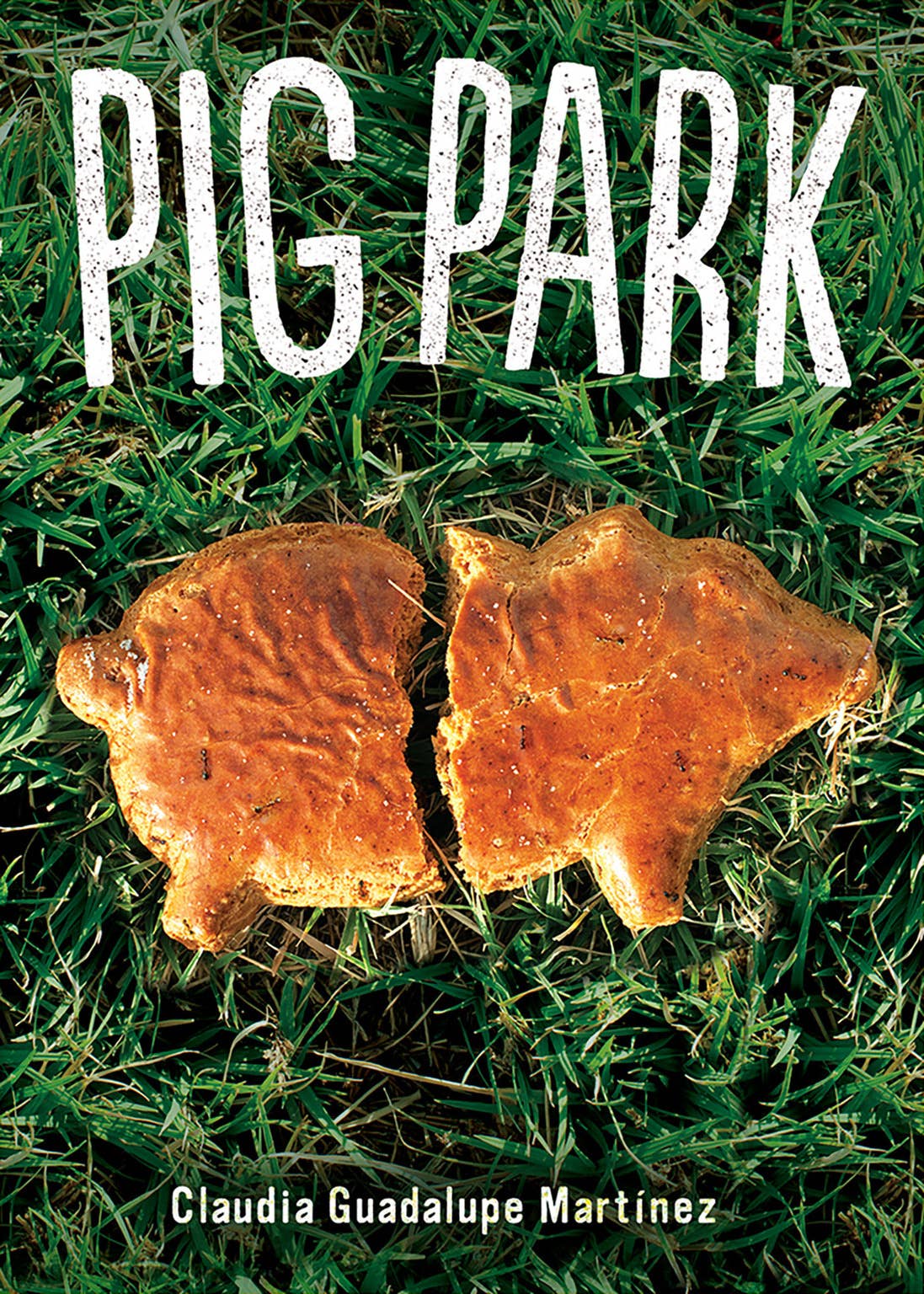Lee & Low Books Inc - Wholesale Teen & Young Adult Book - Pig Park by Claudia Guadalupe Martínez0