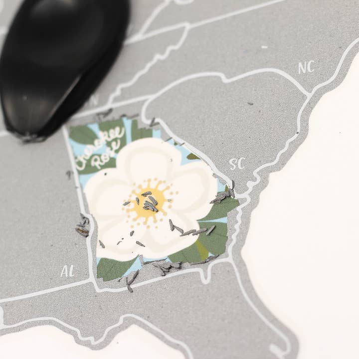 Suade – Engroshandel Kort – Skrab dine rejser officielle statslige blomster USA kort - Sølv3