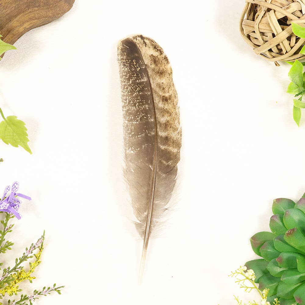 Natures Artifacts Inc - Wholesale Sage Bundle - Smudging Turkey Feather3