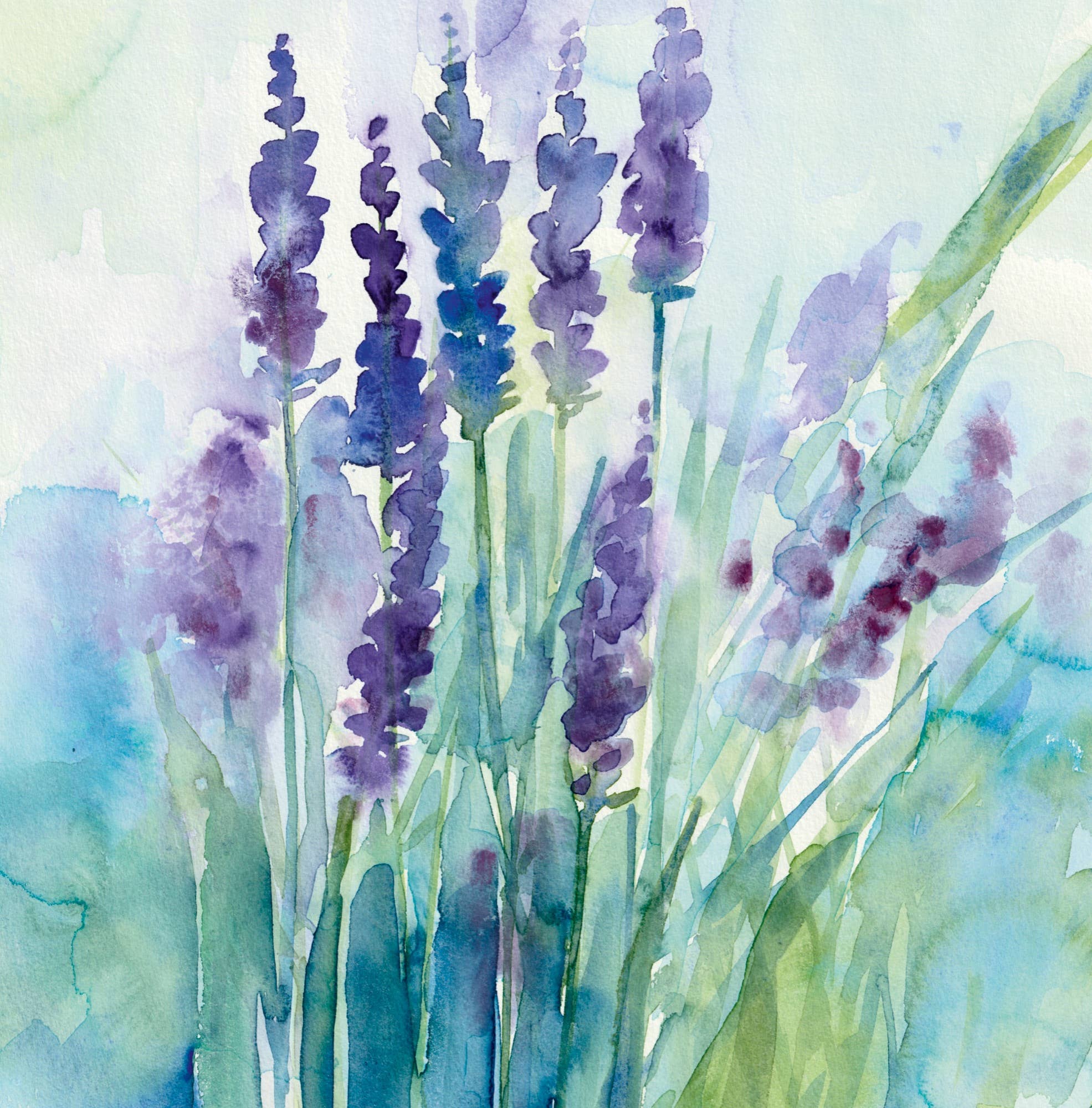 Diana Fegredo Studio - Wholesale Everyday greeting card - Lavender Field Greetings Card1