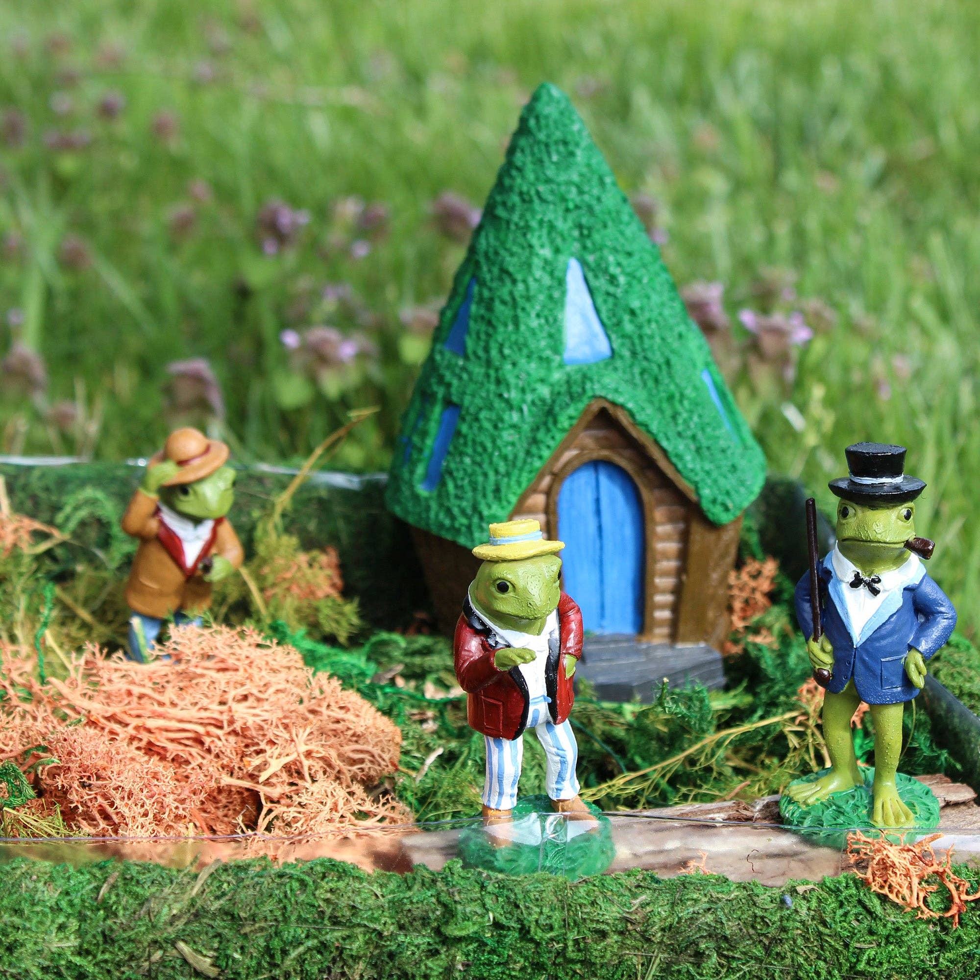 Kurated Korner - Wholesale Terrarium - Esterno DIY Dried Moss Enchanted Landscape Terrarium Starter7