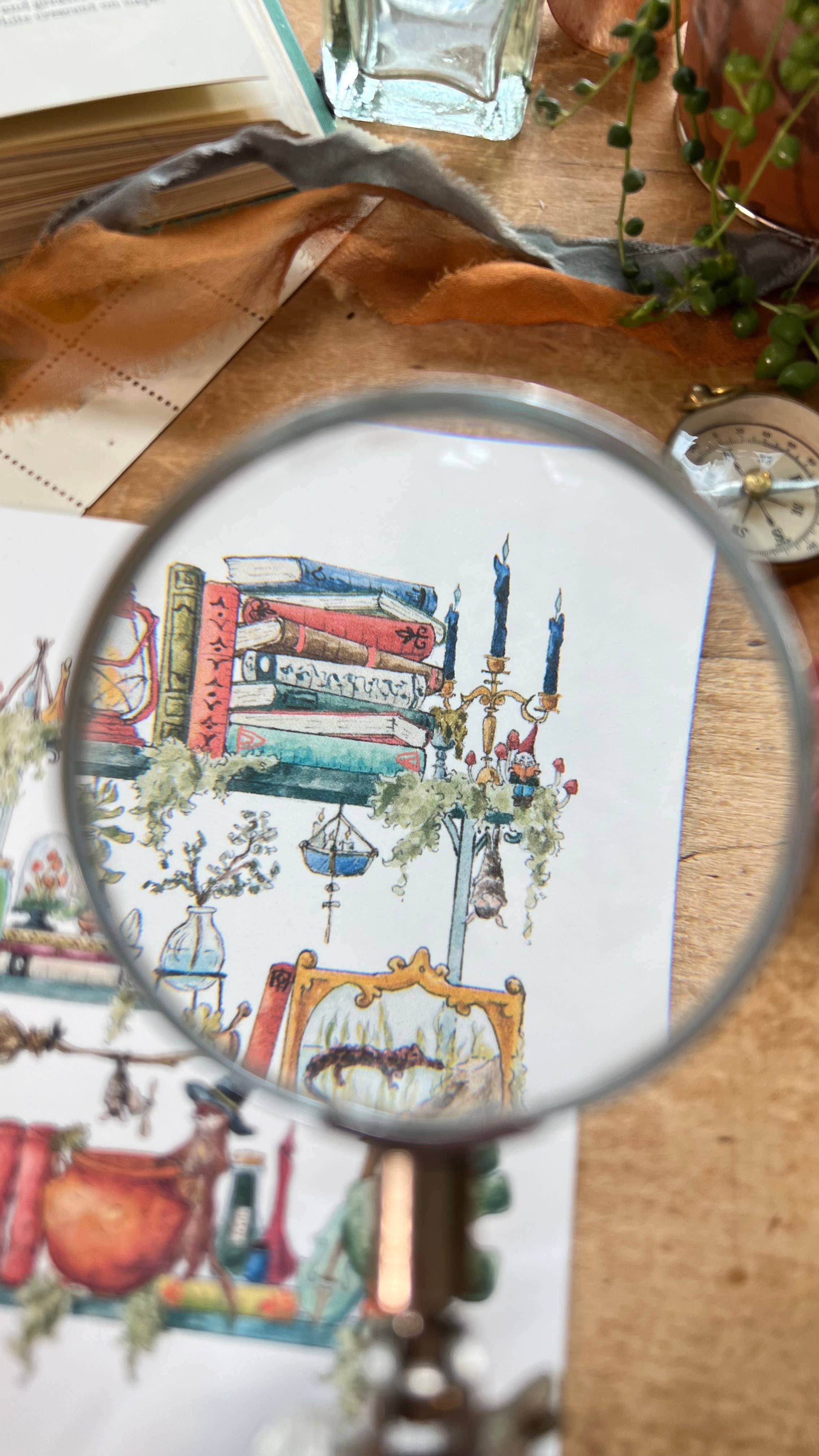 Lizzy Gass - Wholesale Postcard - The Swamp Witch's Shelves Postcard7