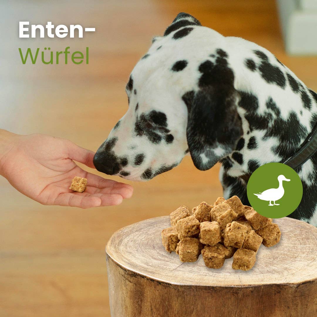 Kauartikel.com GmbH - Wholesale Pet Treats - Dog - duck dice2
