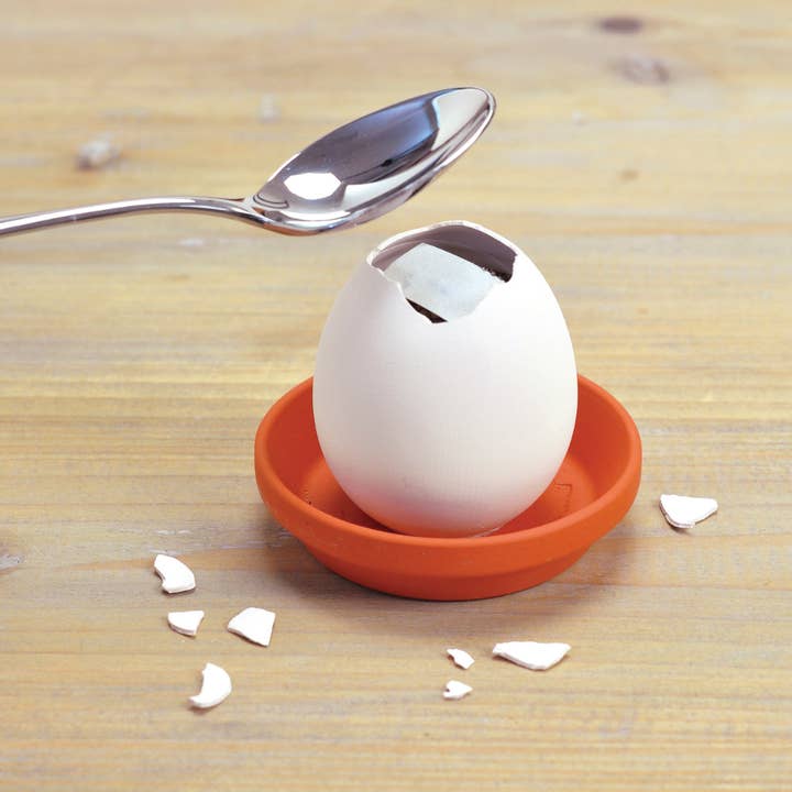 Noted UK – wholesale Plant seeds – Eggling - Wild Strawberry1