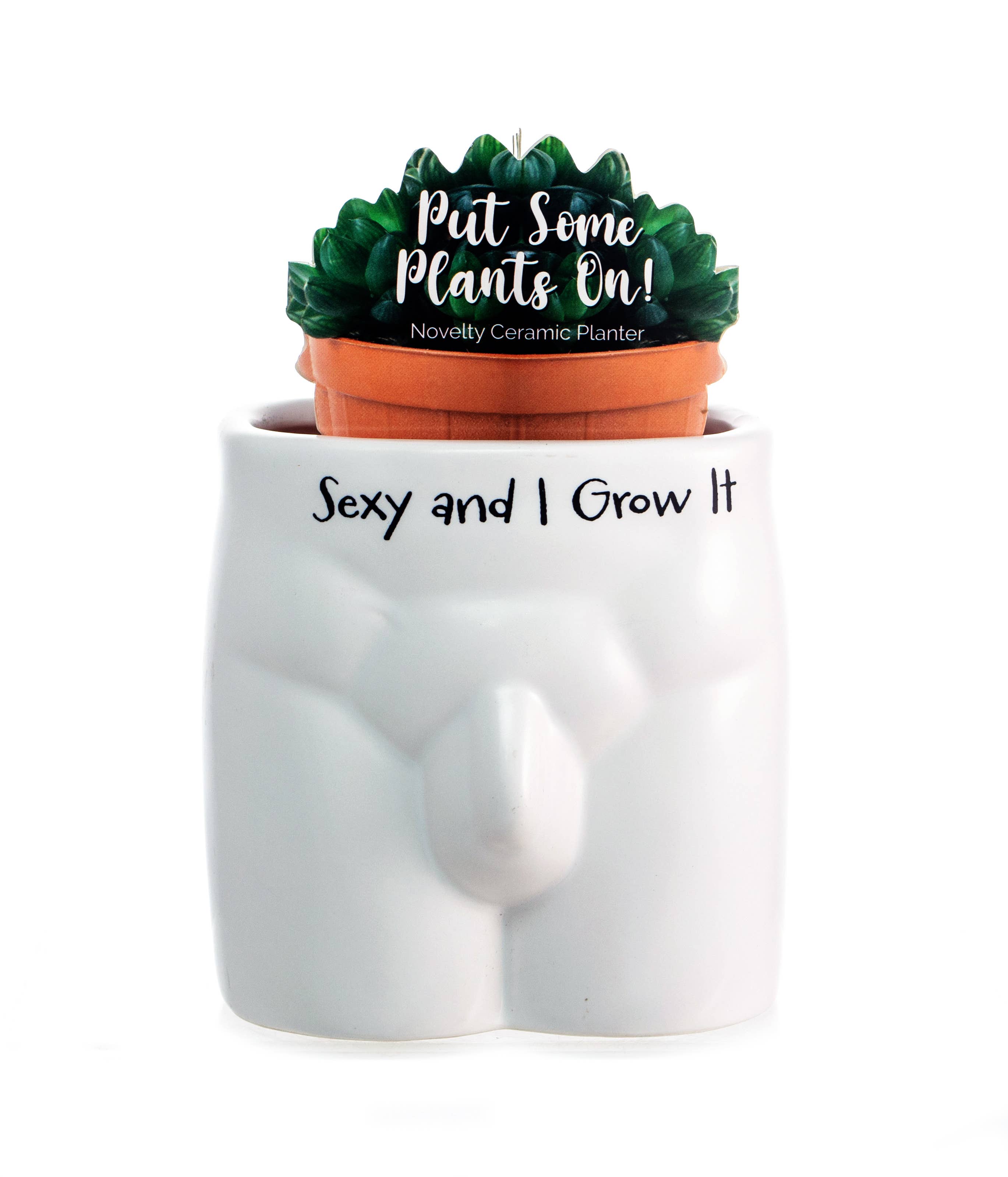 Boxer Gifts - Wholesale Plant Pot - Sexy and I Grow It Put Some Plants On Novelty Indoor Planter4