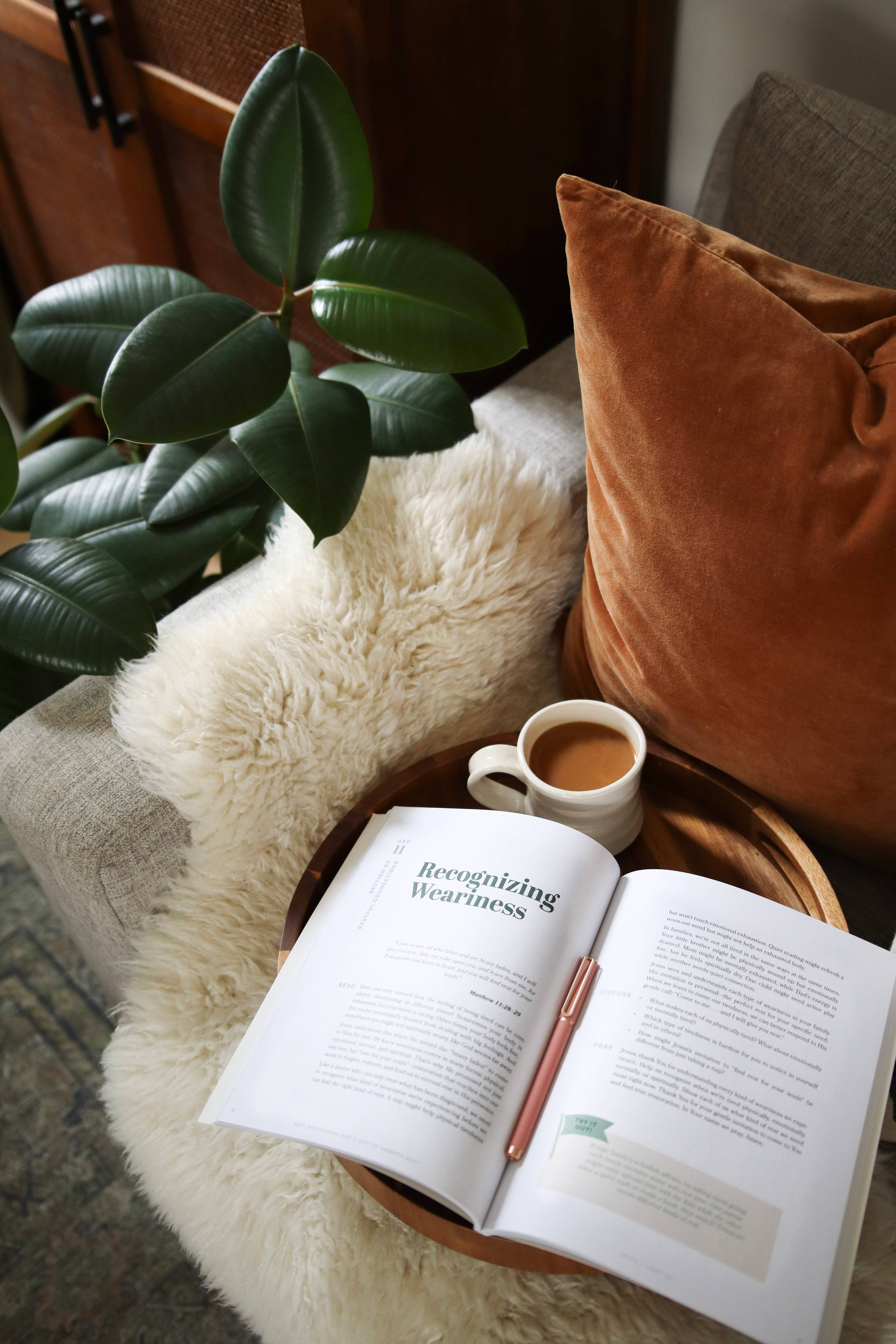 Truth and Light - Wholesale Religion - Rest: A 30-Day Family Devotional on God’s Gift of Sabbath5