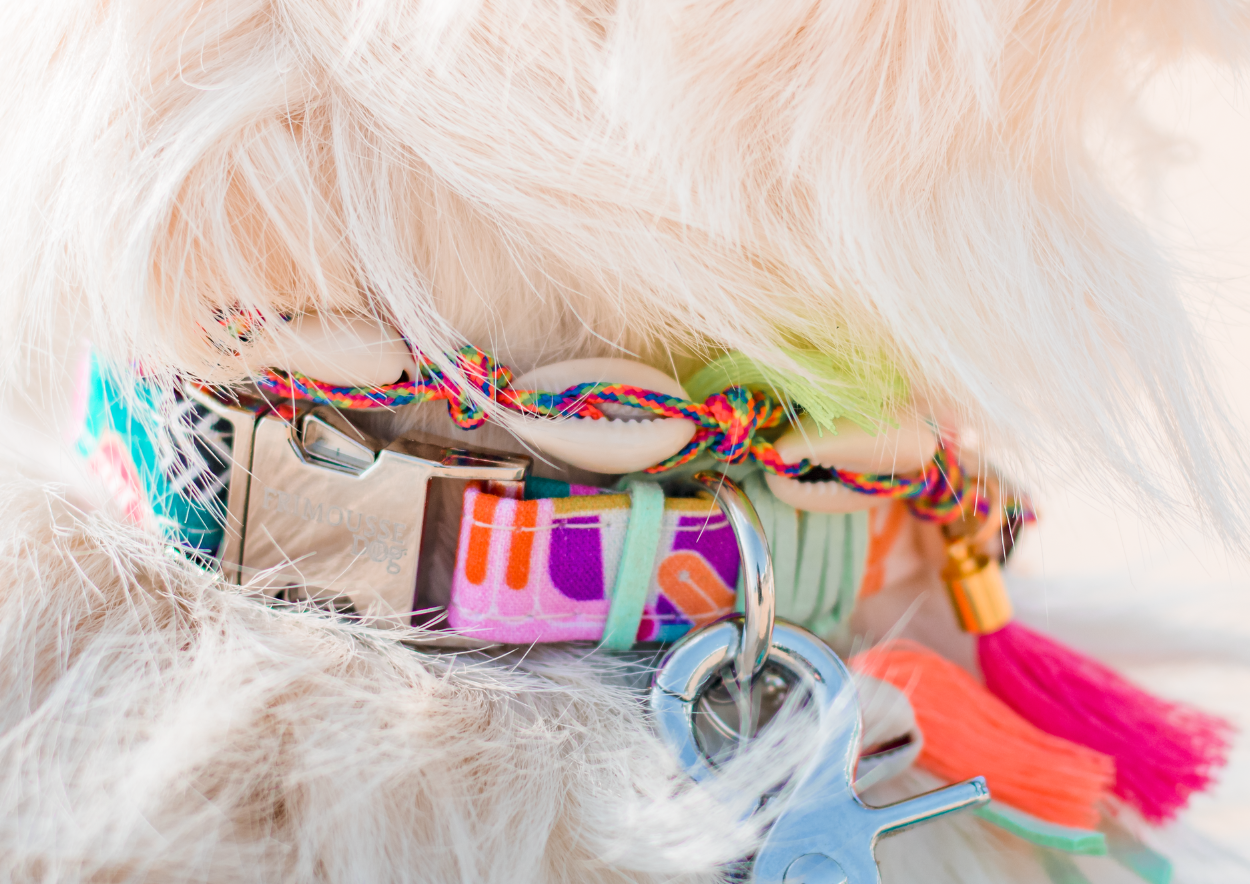 Frimousse Dog - Wholesale Pet Collar - Dog - "Surfer" shell necklaces for dog tag holder7