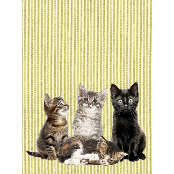 Alphie and Ollie – wholesale Tea towel – kittens (ticking stripe)100% cotton flour sack kitchen towel