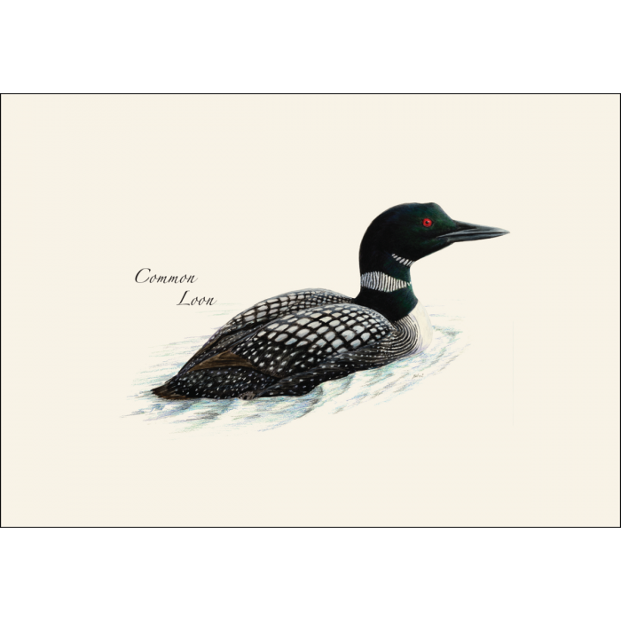 Earth Sky + Water - Vente Assortiments de papeterie/cartes - Ensemble de cartes de notes Loon Assortiment2