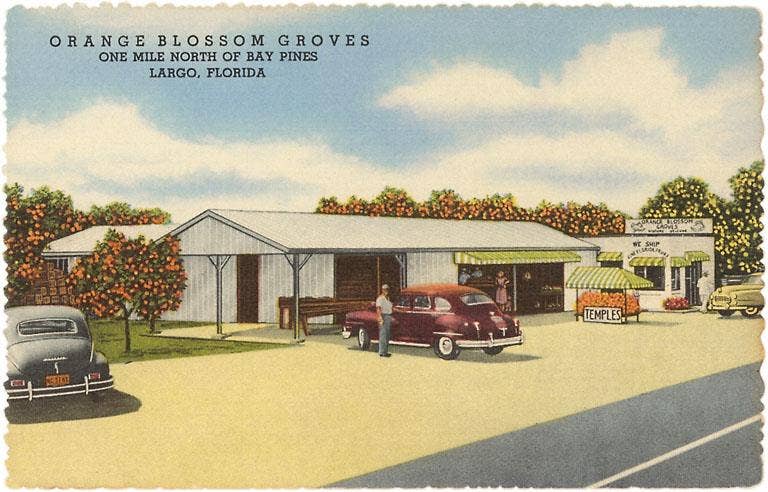 Found Image Press - Wholesale Sticker - Sticker FL-1084 Fruit Stands, Largo, Florida0