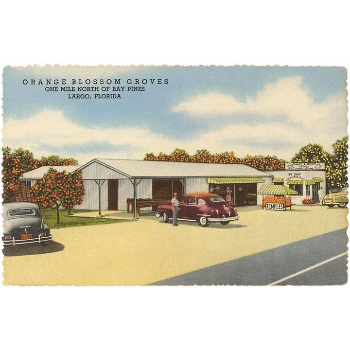 Found Image Press - Wholesale Stationery/Notecard Set - Greeting Card FL-1084 Fruit Stands, Largo, Florida