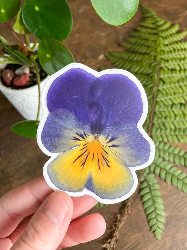 Autocollant bleu Viola, durable et résistant aux intempéries pour la vente par Home Roots Design