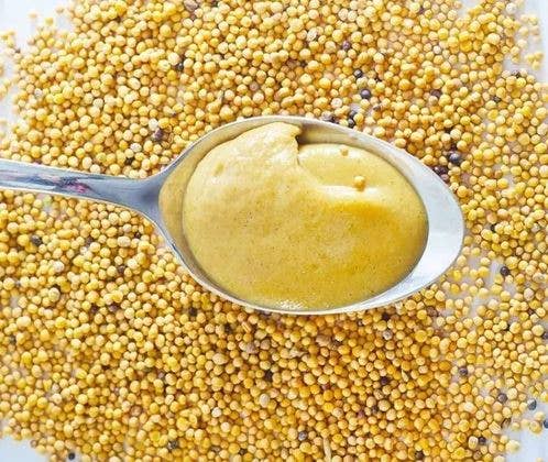 Gourmandise - Wholesale Mustard - Dijon mustard 100 g - Martial Picat2