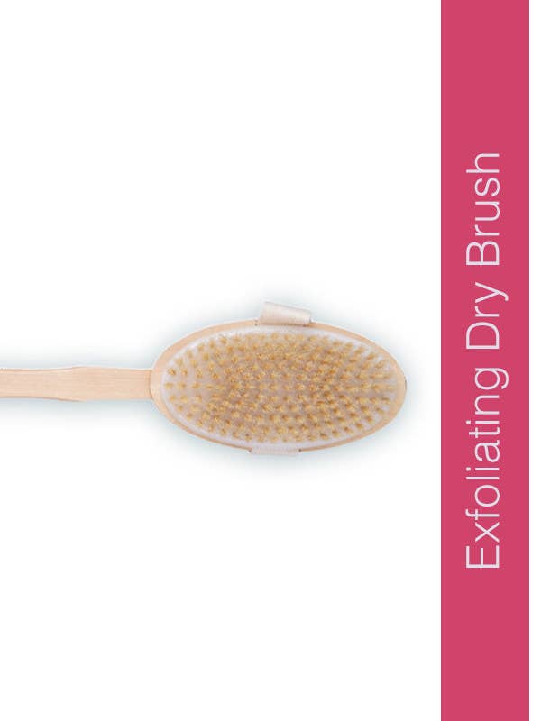 Dry Brush with 14 Inch Removable Wood Handle for wholesale by Global Beauty Secrets
