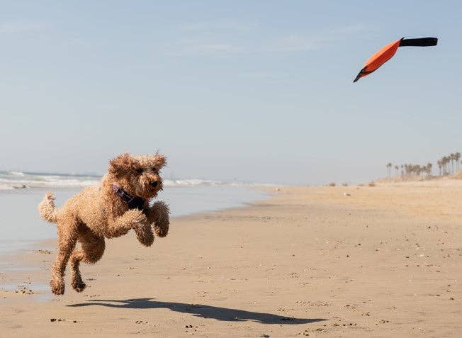 Katie's Bumpers - Wholesale Pet Squeaky Toy - Dog - Best KB Mini Sqwuggie Tug Toy5