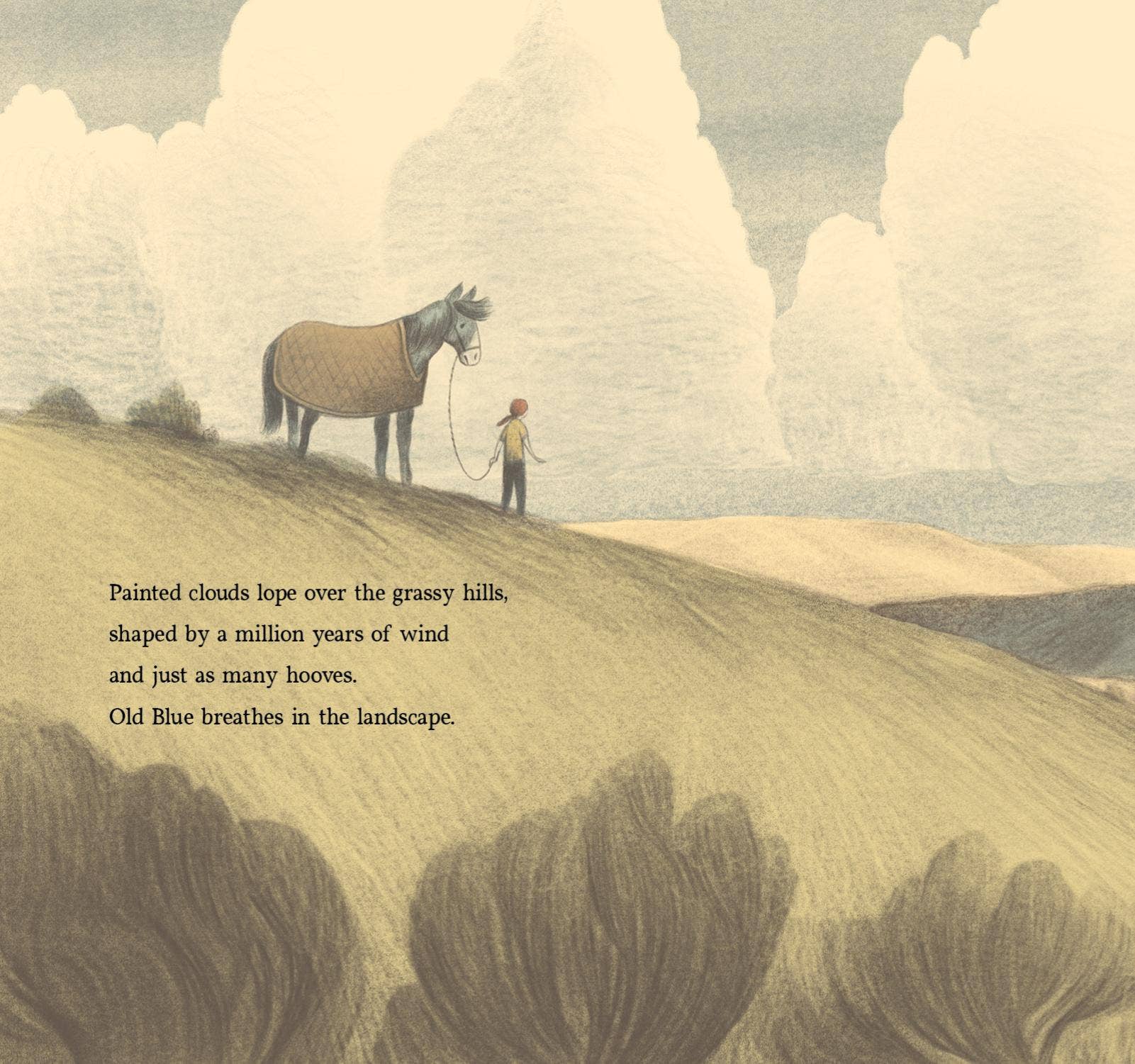 Sleeping Bear Press - Wholesale Preschool Book (3-5) - Brave Old Blue Picture Book4