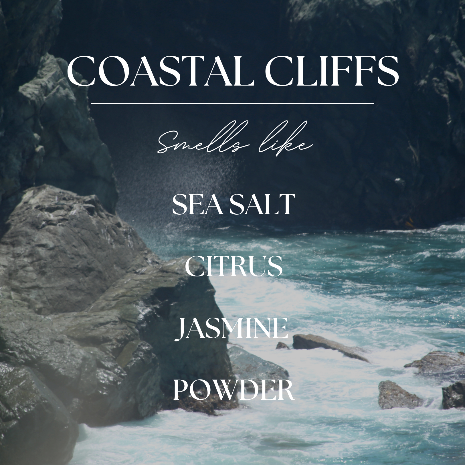 Modern Roots Candle Co. - Wholesale Jar/Filled Candle - Coastal Cliffs | Ozone & Salt | 9 oz. Soy Candle1