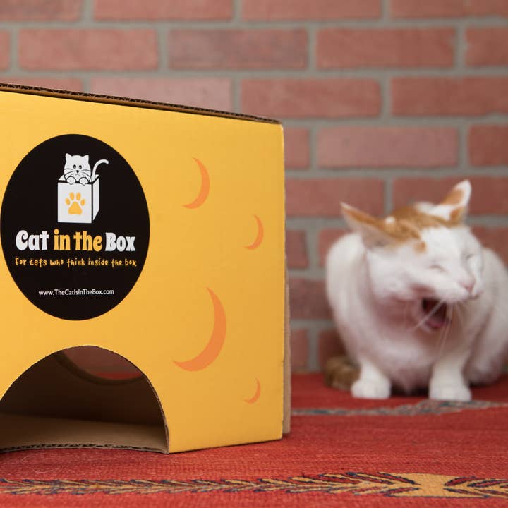 Cat in the Box LLC – wholesale Pet toy – Cat – Monster Cheese Wedge - Cardboard Box Playhouse For Cats