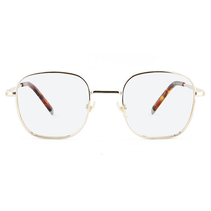 Taylor for wholesale by Iolla