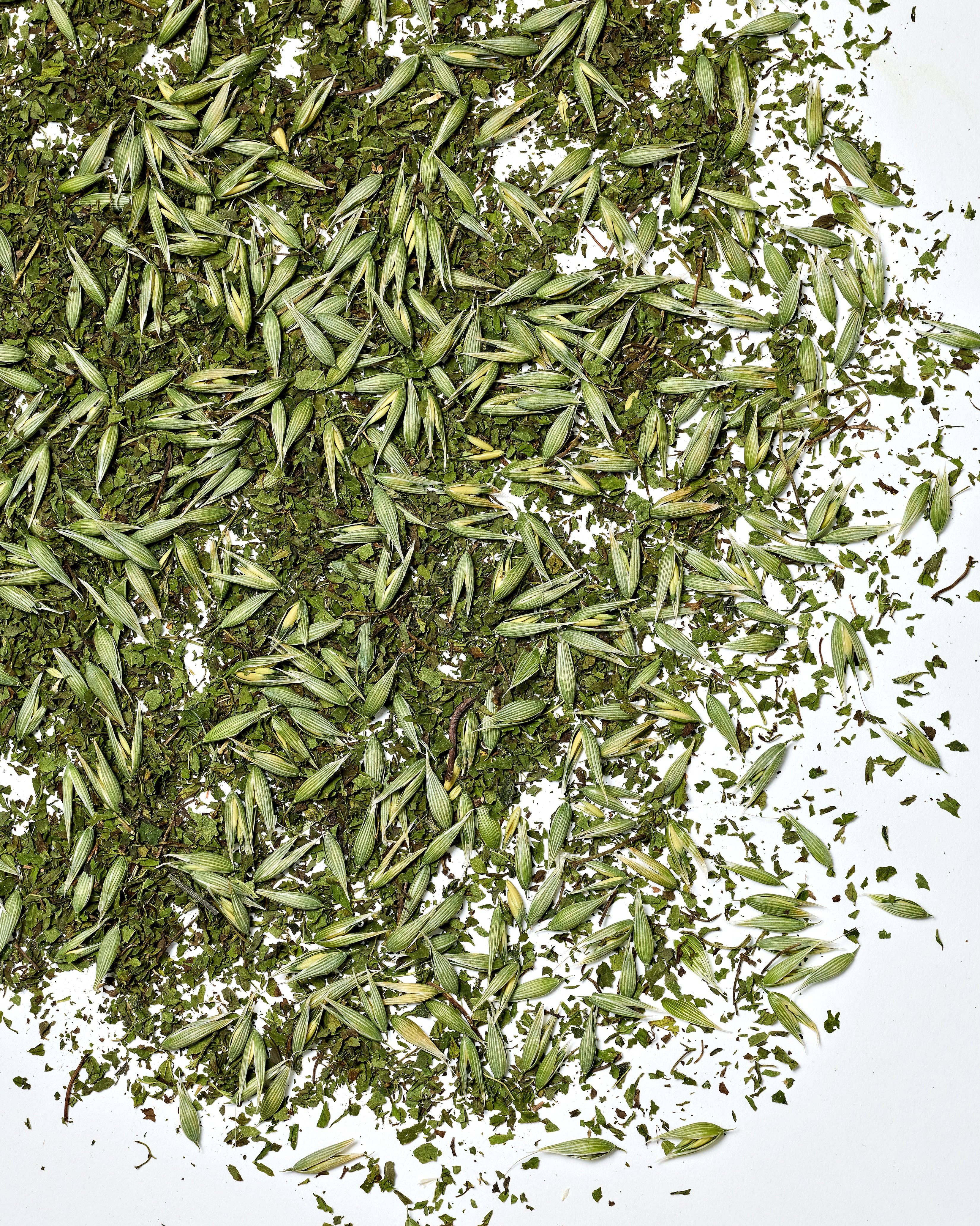 Katydid Hill Farm - Wholesale Loose Tea - Witches Brew Tea - organic herbal tea blend for conjuring1