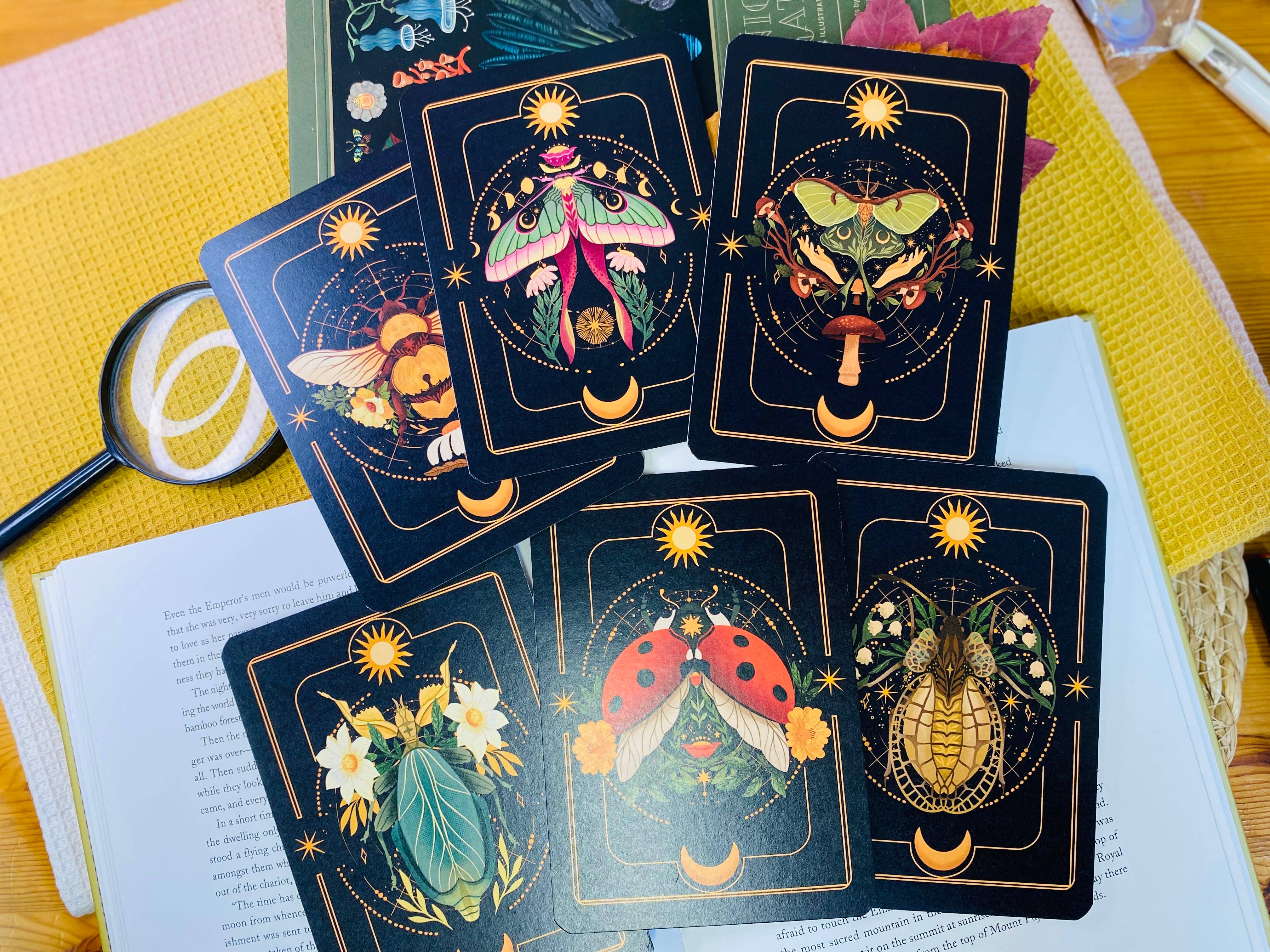 Split Moon Studios - Wholesale Art Print - A Set of Insect Art Prints - A6 Post Card Size - Artprint20