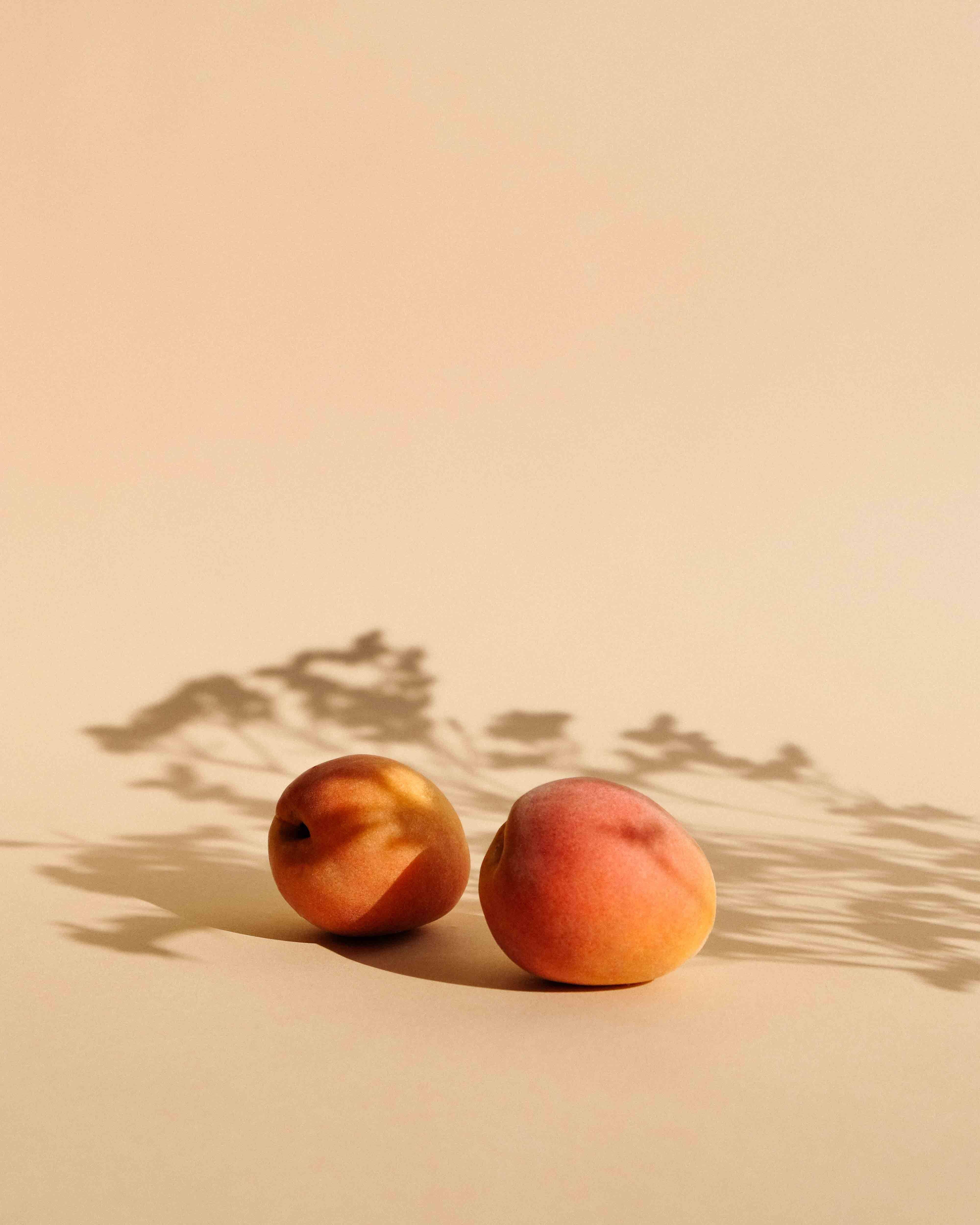 BOURRICOT - Wholesale Body Scrub/Exfoliant - Apricot Kernel Exfoliating Treatment5