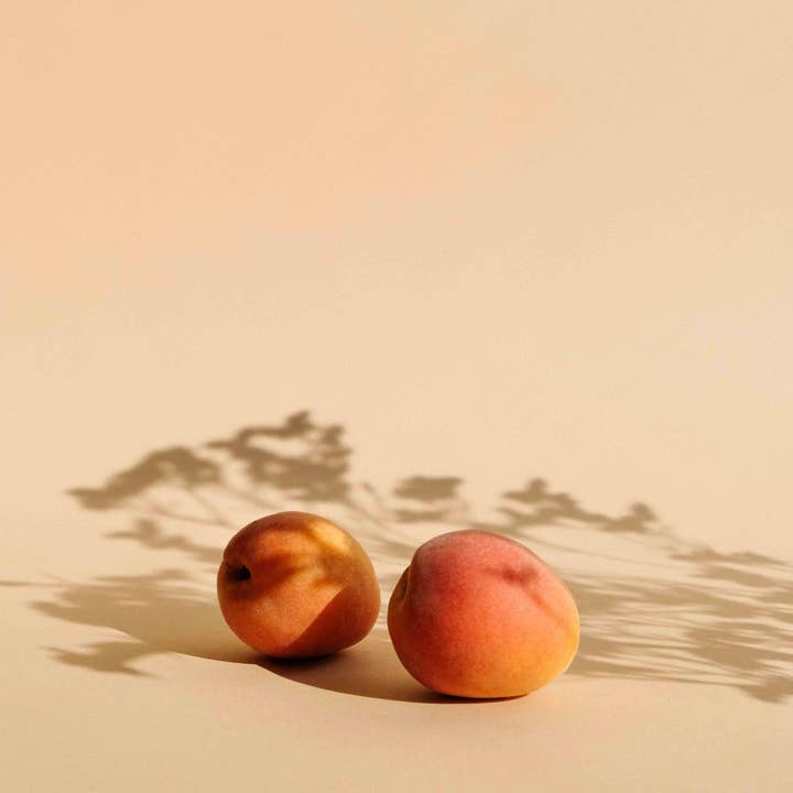 BOURRICOT - Wholesale Body Scrub/Exfoliant - Apricot Kernel Exfoliating Treatment5