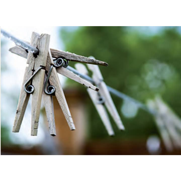 natural REDECKER Clothes Pegs Jumbo Size 20/PK for wholesale on Faire