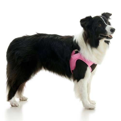 Gooby - Wholesale Pet Harness - Dog - #04235 - Escape Free Easy Fit Plus Harness12