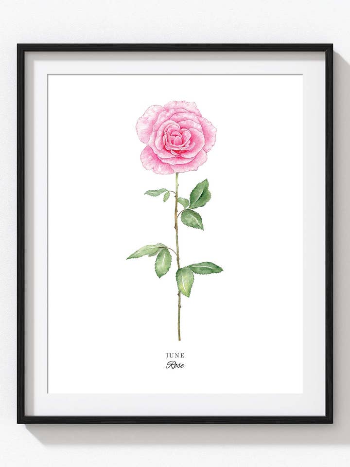 June Birth Flower Print, Rose for wholesale by Tammy Speed Design