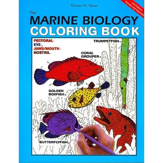 Microcosm Publishing & Distribution - Wholesale Coloring Book - Adult - The Marine Biology Coloring Book