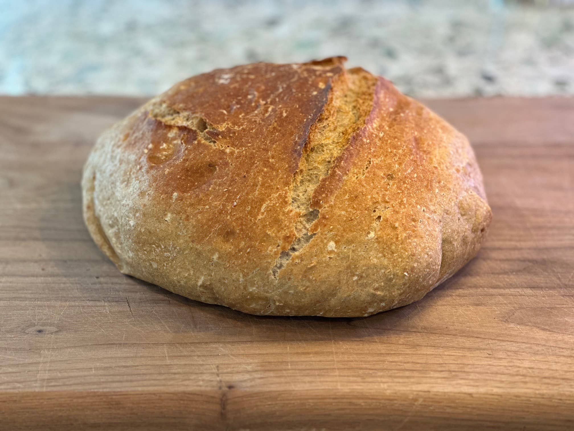 40 Century Grain - Wholesale Flour - Perennial Blend™ flour2