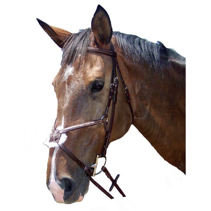 Bridon Pro-Trainer Silver Fancy Raised Padded Figure 8 pour la vente par Intrepid International
