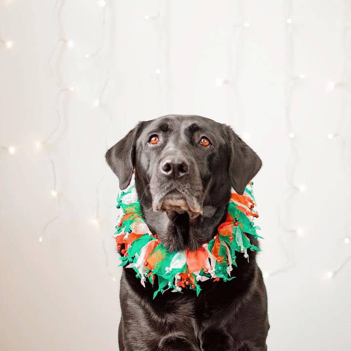 Midlee Designs - Wholesale Pet collar – Dog - Midlee Christmas Jingle Bells Decorative Dog Collar4