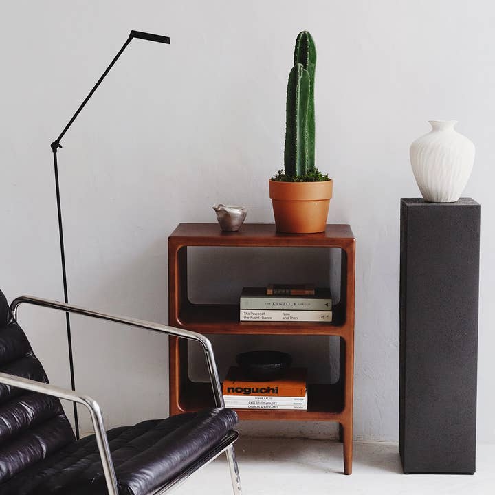 Maia Shop: No Duties for the US - Wholesale Artificial Plant - 2.5' Cactus Artificial Plant2