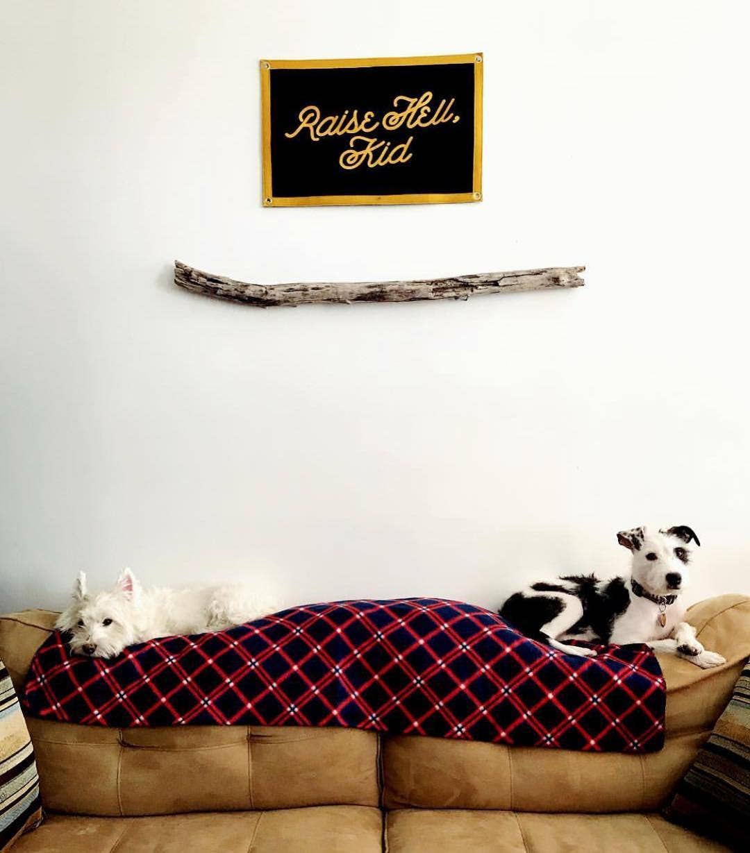 Oxford Pennant - Wholesale Flag - Raise Hell, Kid Camp Flag3