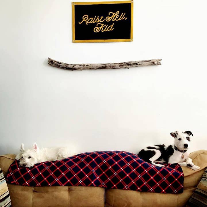 Oxford Pennant - Wholesale Flag - Raise Hell, Kid Camp Flag3