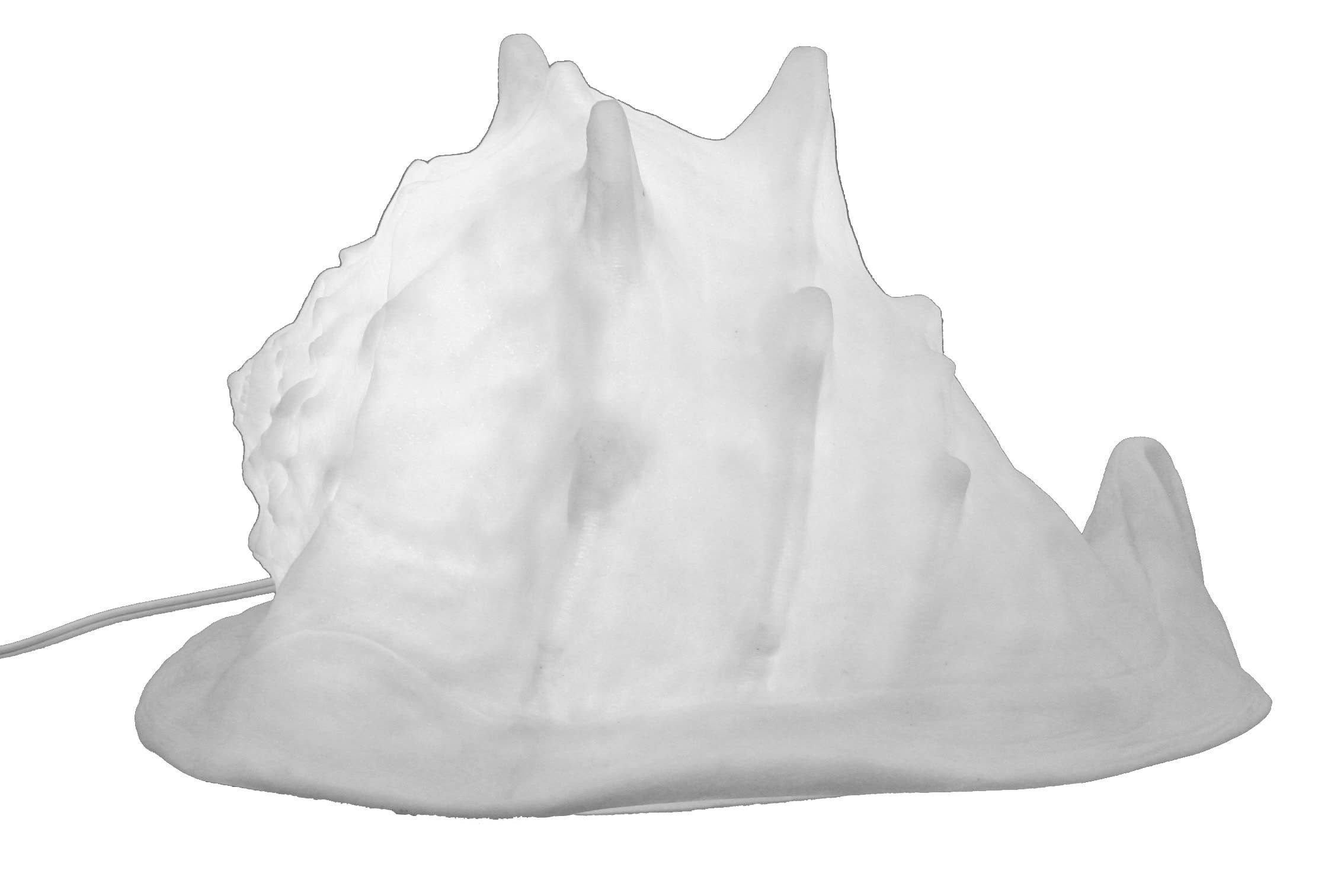 Modern Coastal by Contrast Inc. - Wholesale Accent/Desk Lamp - Sandstone Helmet Shell Lamp1