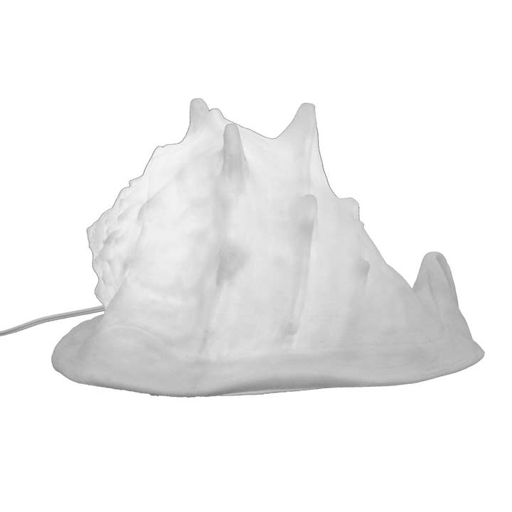 Modern Coastal by Contrast Inc. - Wholesale Accent/Desk Lamp - Sandstone Helmet Shell Lamp1