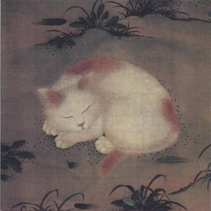 CATCH 12X12 CARTES DOUBLES NC 33758 pour la vente par Phenicia