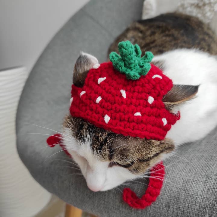 Jordbærkattehue Fotoprop til kæledyr Katteforsyninger Kæledyrstøj for engroshandel hos FairyBabyGifts