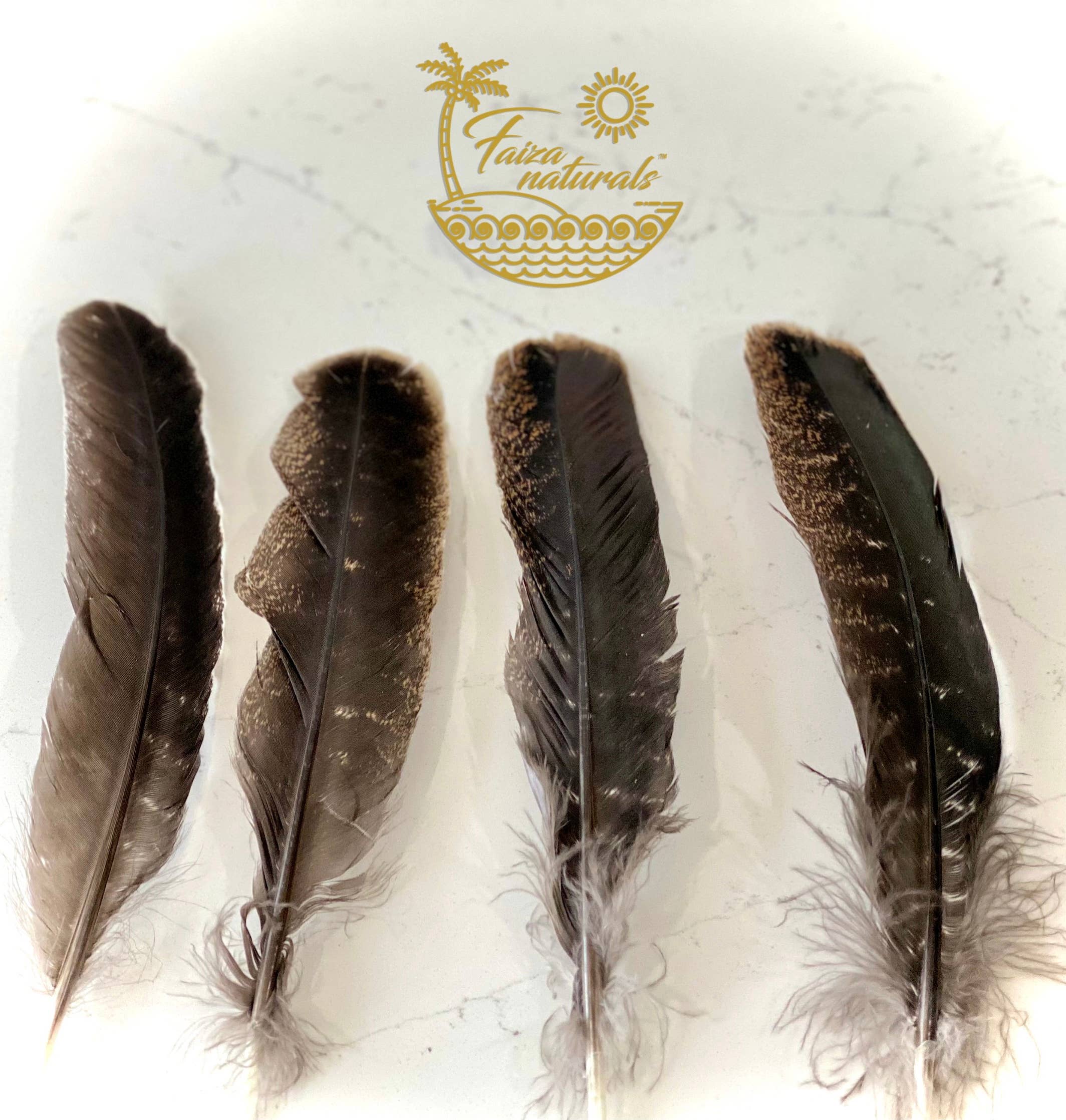 Faiza Naturals - Wholesale Sage Bundle - Feathers for Smudging4