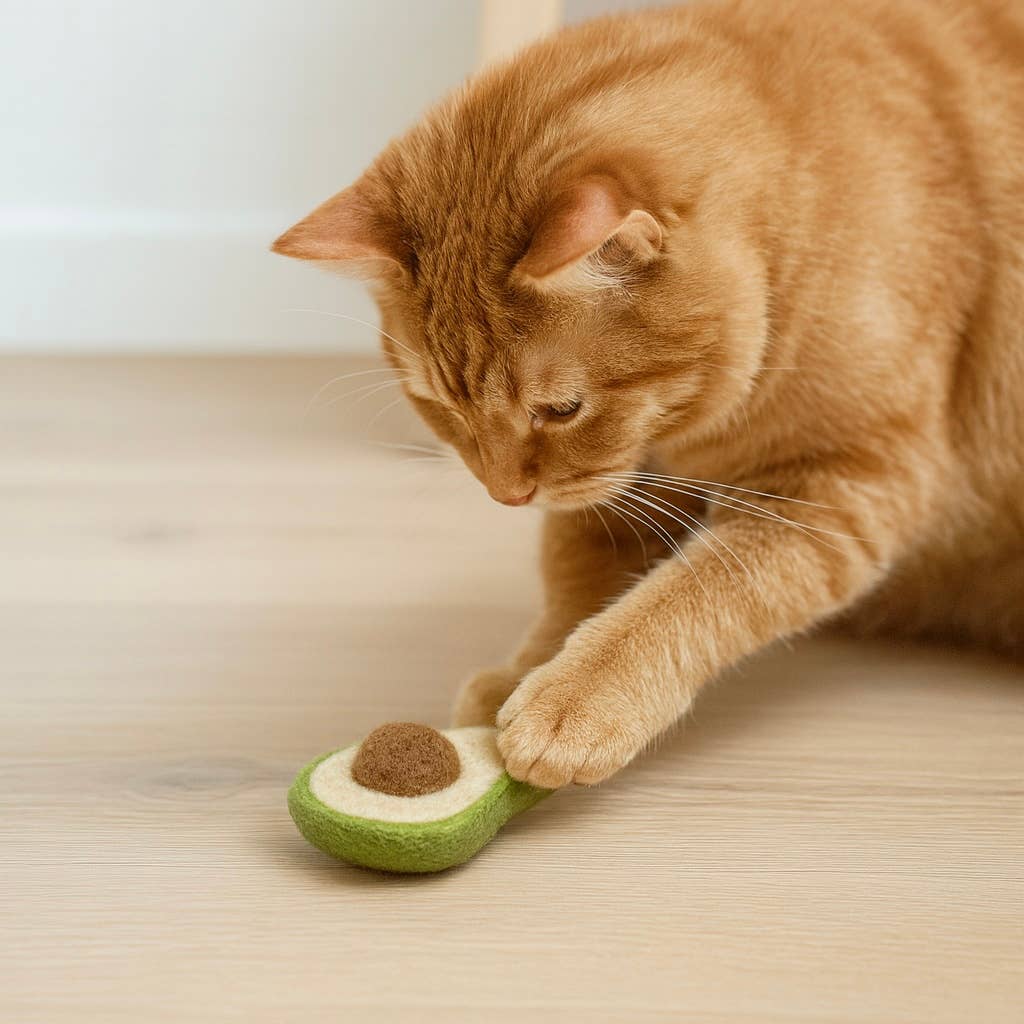 Ciao Gatto Cat Market – Engroshandel Legetøj - Kat – Avogatto filtret uld kattelegetøj