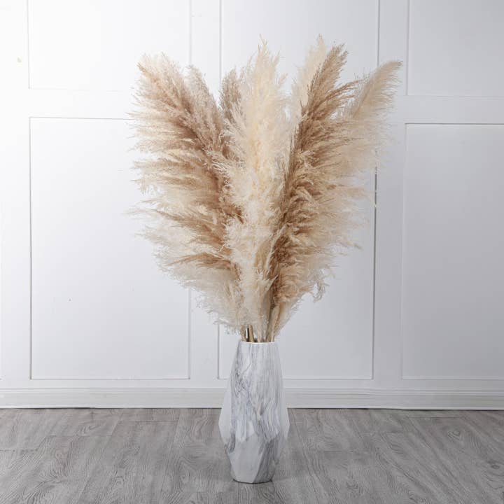 Mollie Sophia Ltd - Wholesale Dried/Pressed Flowers - Large Pampas Grass Dried Flowers Fluffy Pampas Collection